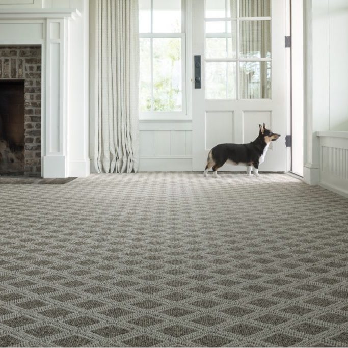 Carpet Flooring | Floors Plus, Inc